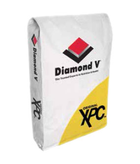 Original XPC