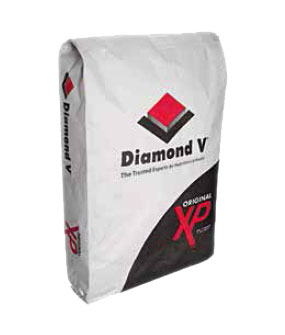 Original XP